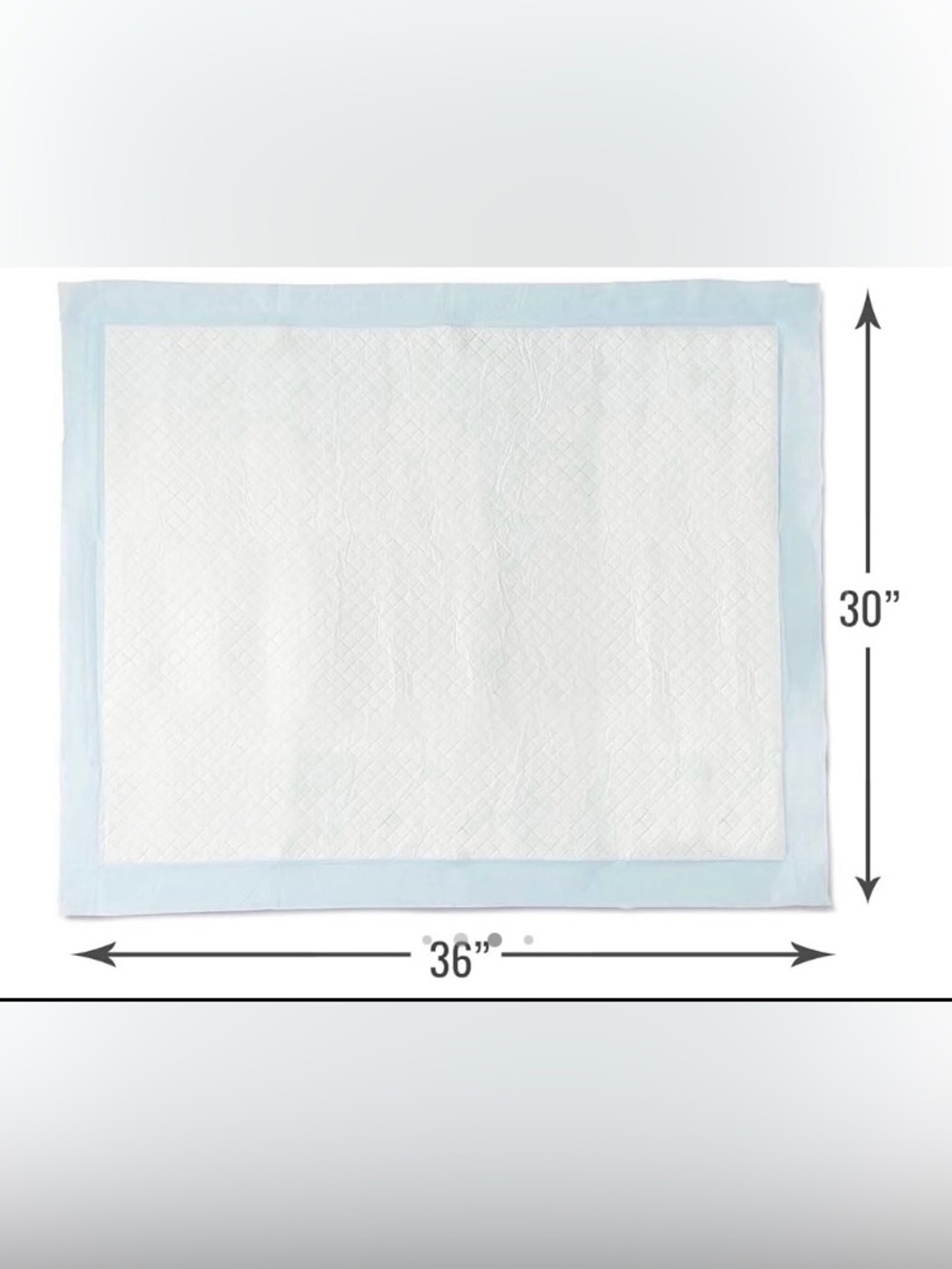 75 Absorbent Bed Pads with Light Blue Border - Home Bedding